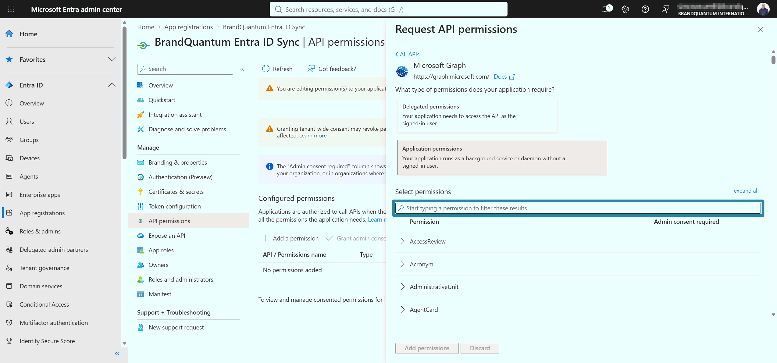 Request API permissions panel with Application permissions selected and the permission search field ready for input.
