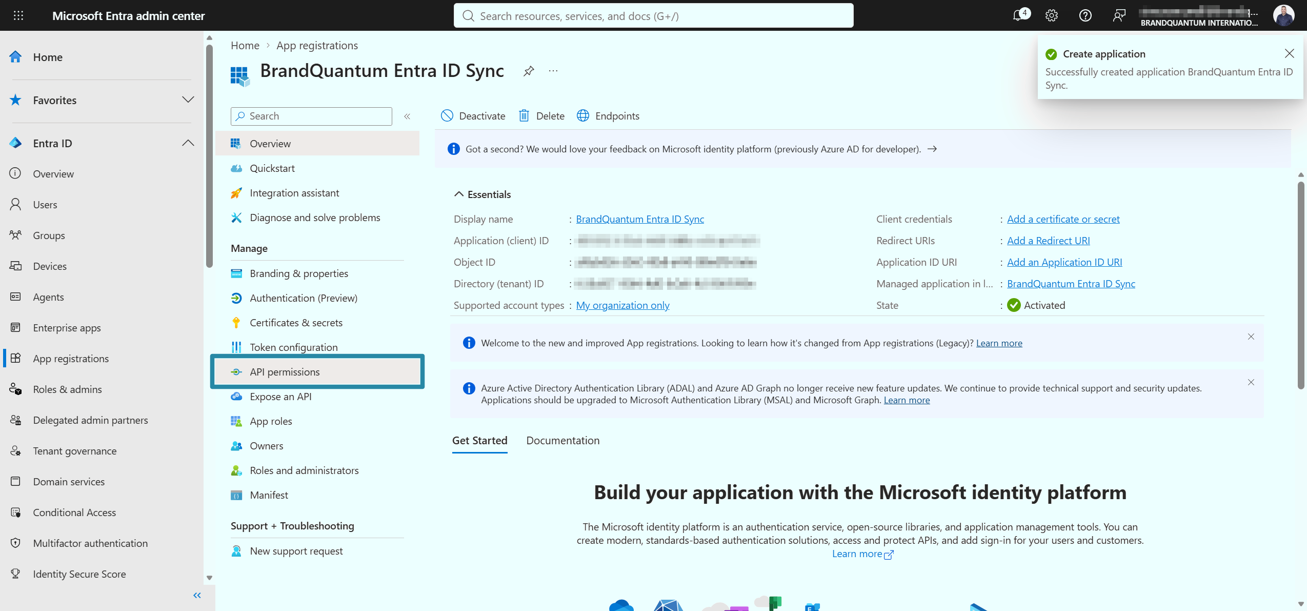 Application Overview page with API permissions highlighted in the Manage menu.