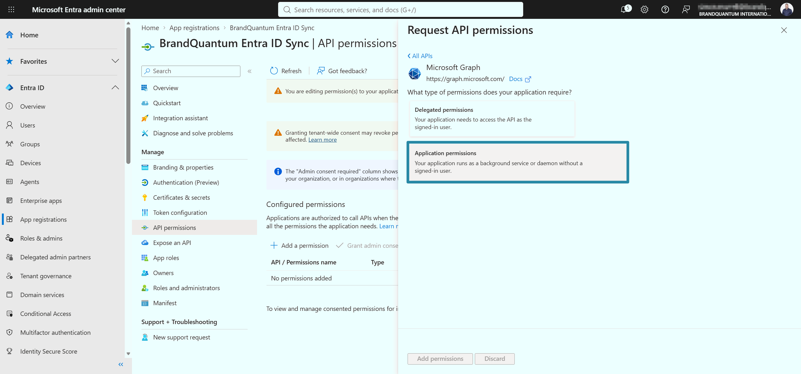 Microsoft Graph permissions panel with Application permissions highlighted for the app.