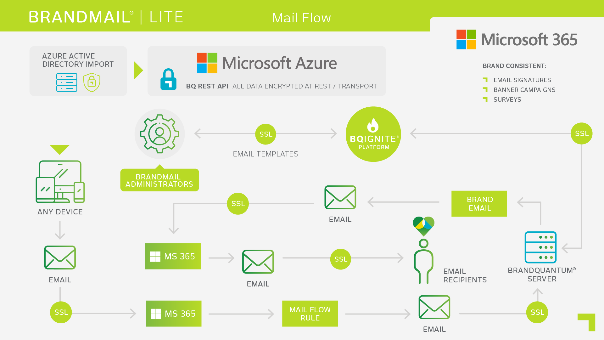 BrandMail Lite for Microsoft 365 Architecture